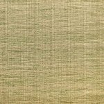 Capital Two tone taupe and Green Capital Two tone taupe and Green