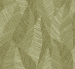 Bounty Olive