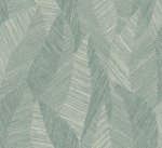 Bounty Eucalyptus