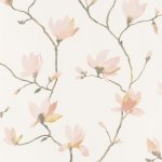 Florescence Suzhou Rose