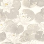 Nymphea Blanc coton