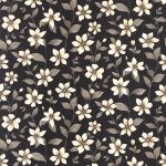 Clematites Noir fusain
