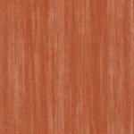 Woods Eucalyptus Citrouille