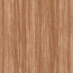 Woods Eucalyptus Chataigne
