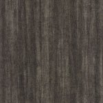 Woods Eucalyptus Noir