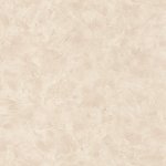 Patine Uni Creme