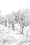 Lauris Noir/blanc