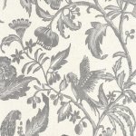Etourneau Noir gravure