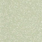 Bambu Vert sauge