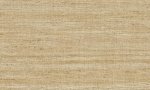 Lignes Straw