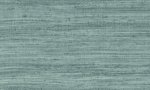Tasar Teal