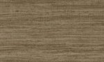 Tasar Bronze