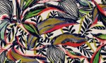 Flor Imaginaria Bird of paradise