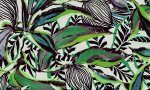 Flor Imaginaria Malachite Sunbird