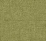 Tintura Olive