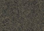 Gobi Starry Black
