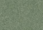 Gobi Sage Green