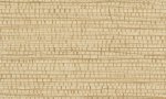 Ruban Honey Beige