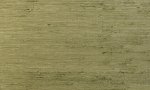 Kudzu Olive
