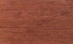 Kudzu Dark Amber