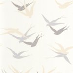 Swallow Blanc neige