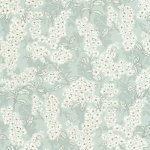 Ume Bleu nuage