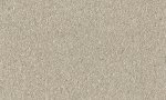 Stardust MNE5102
