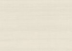 Latus 50501A Neutral Mint Latus 50501A Neutral Mint