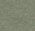 Aspero 40543 Aspero 40543