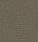 Croc 22043 Dark Bronze Croc 22043 Dark Bronze