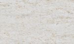 Mulberry CAS21