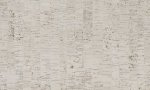 Calligraphy CAS84