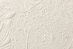 Panthera 43001 - Bone