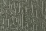 Bambusa 43010 - Thyme