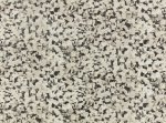 Fragment Monochroom