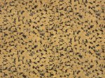 Fragment Panter