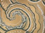 Fantasia Vintage Goud