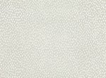 Speckle As