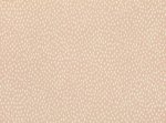 Speckle Pleister