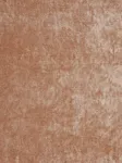 Colombine Biche