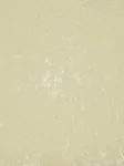 Colombine Jonquille