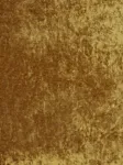 Colombine Tournesol