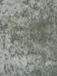 Colombine Lichen