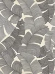 Tikehau Noir