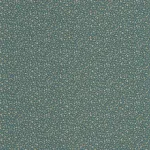 Myosotis Bleu paon