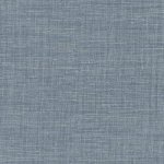 Shinok Bleu grise