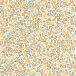Funny Multicouleurs